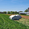 Pastured Poultry Makes the Best Eggs