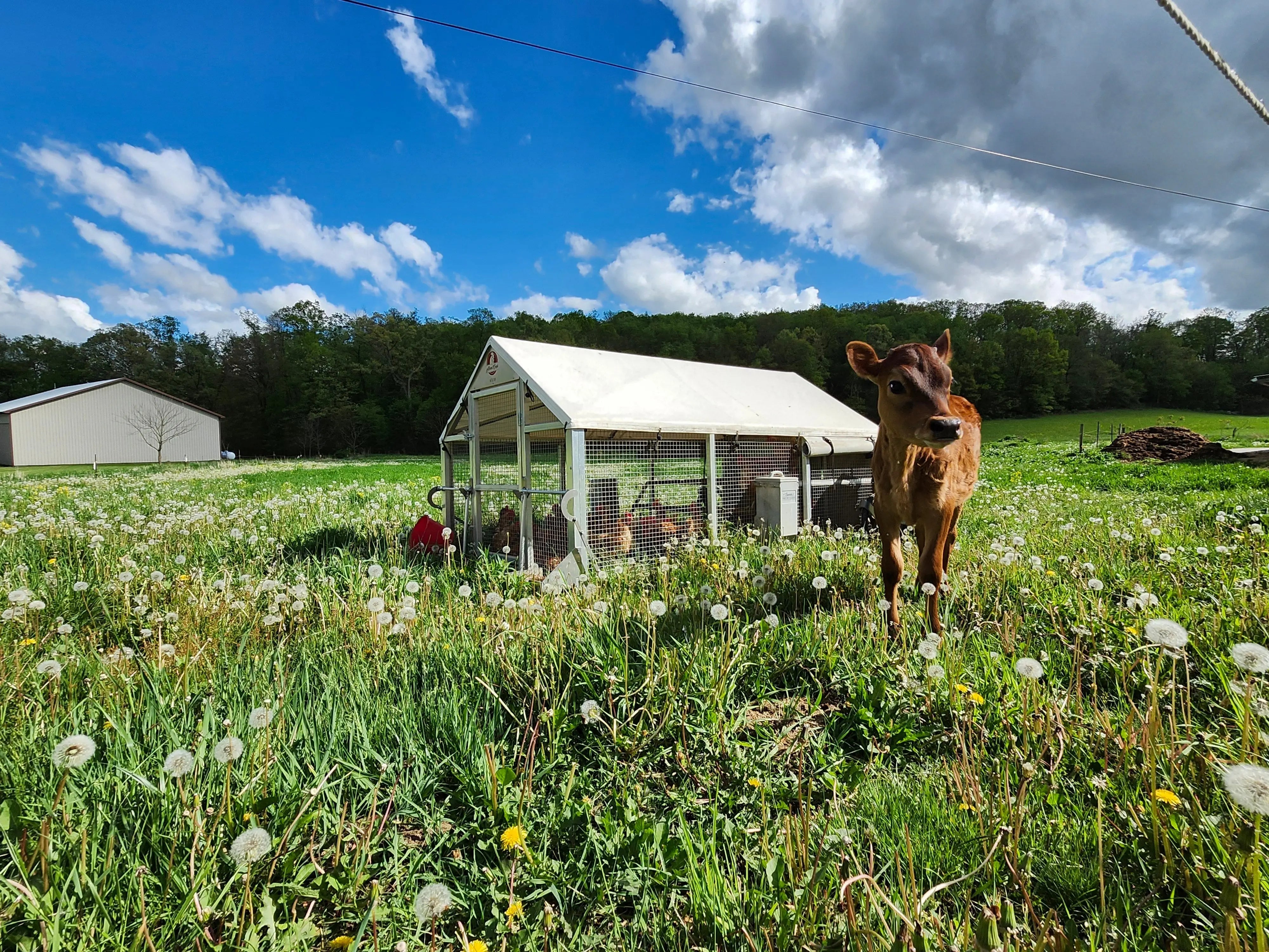 Spring time at home - Homeplace Market LLC