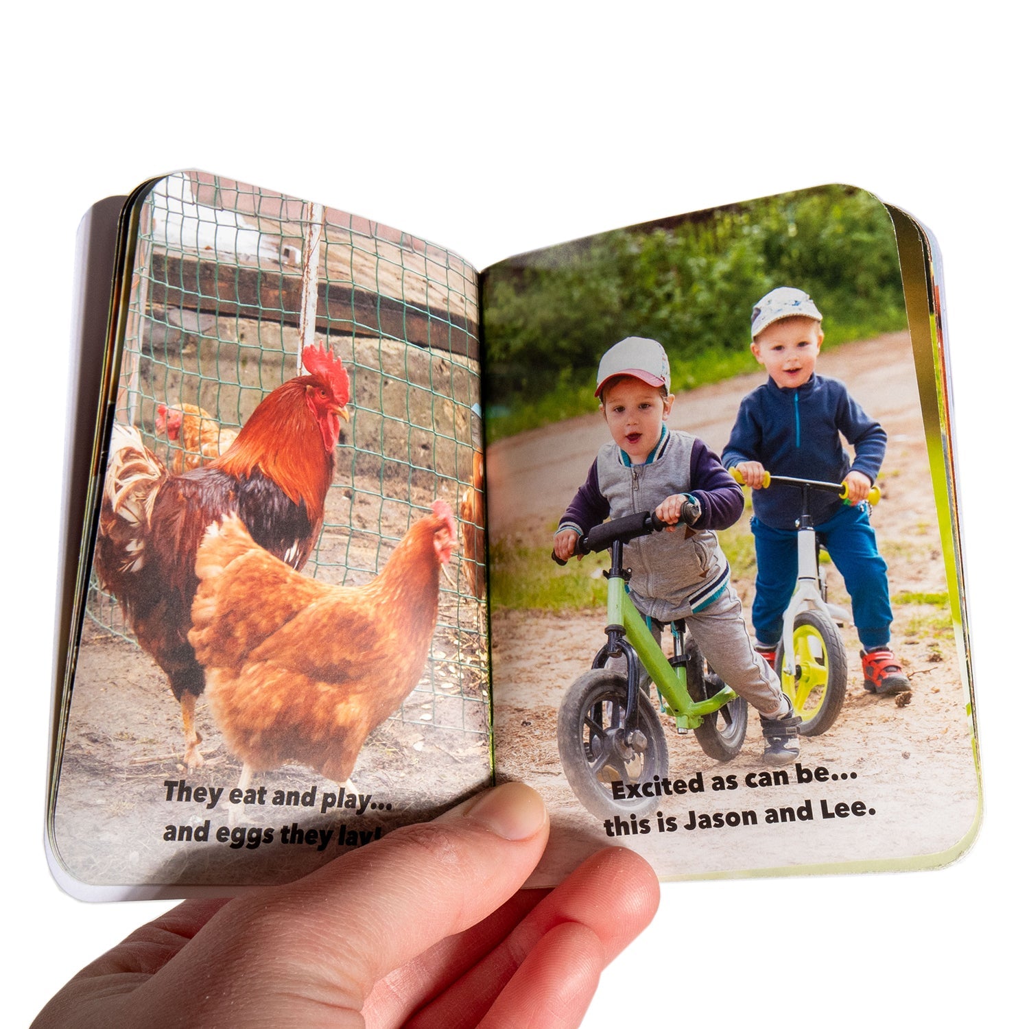 A Day on the Farm Book - Pocket Edition - Homeplace Market LLC