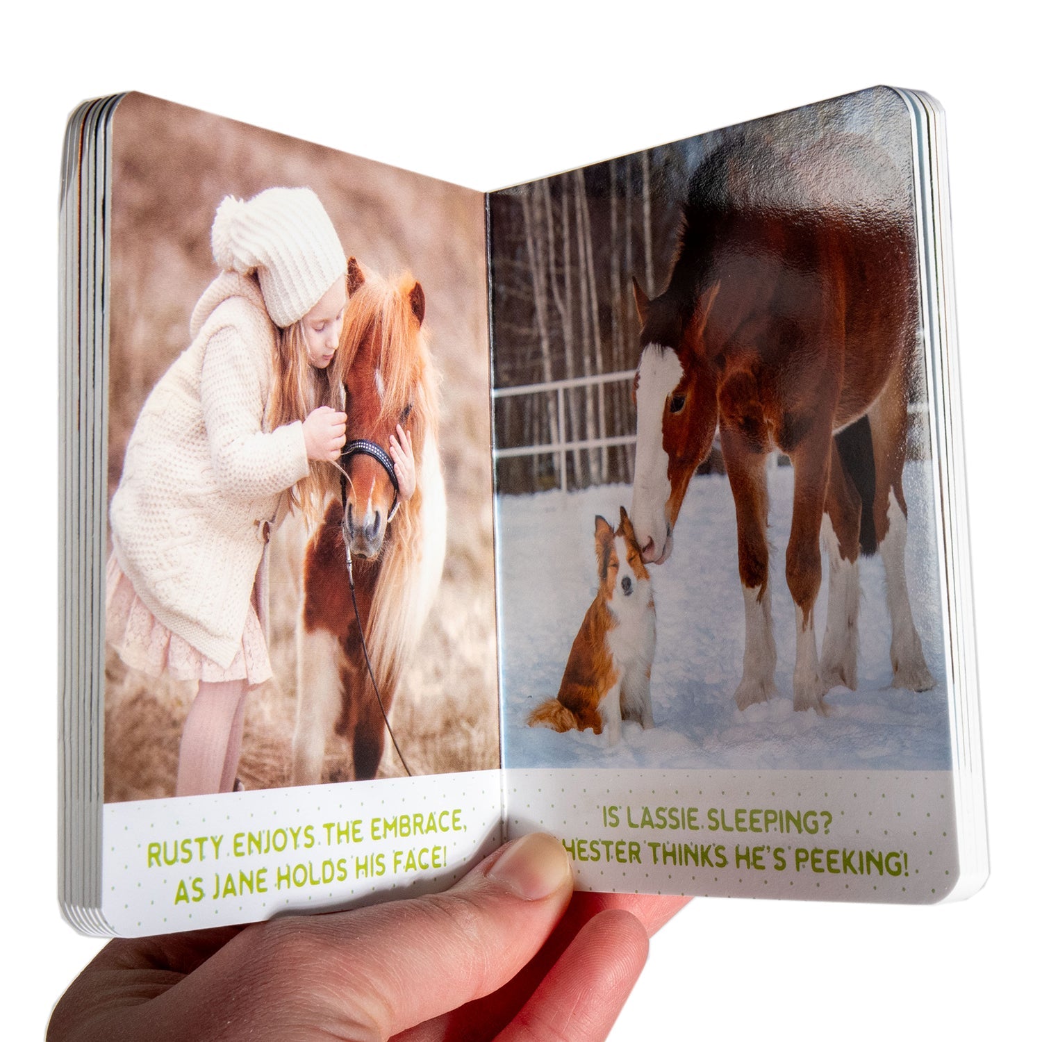 Cuddly Pals - Hardcover Board Book - Homeplace Market LLC