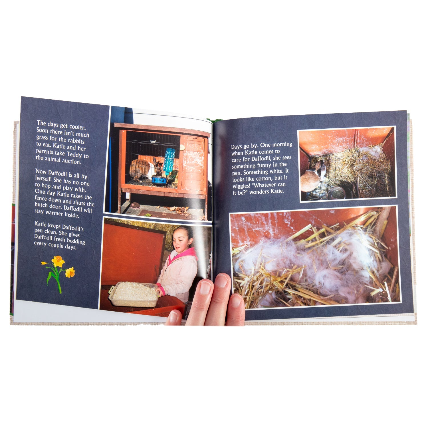 Daffodil - The Dutch Rabbit's Surprise - Hardcover Book - Homeplace Market LLC