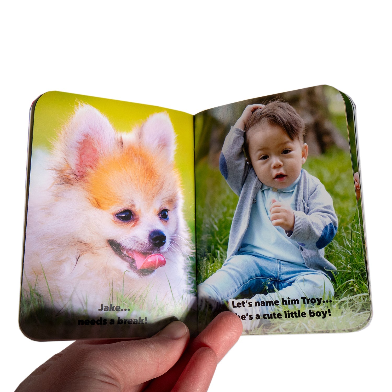 Fluffy and Her Friends Book - Pocket Edition - Homeplace Market LLC