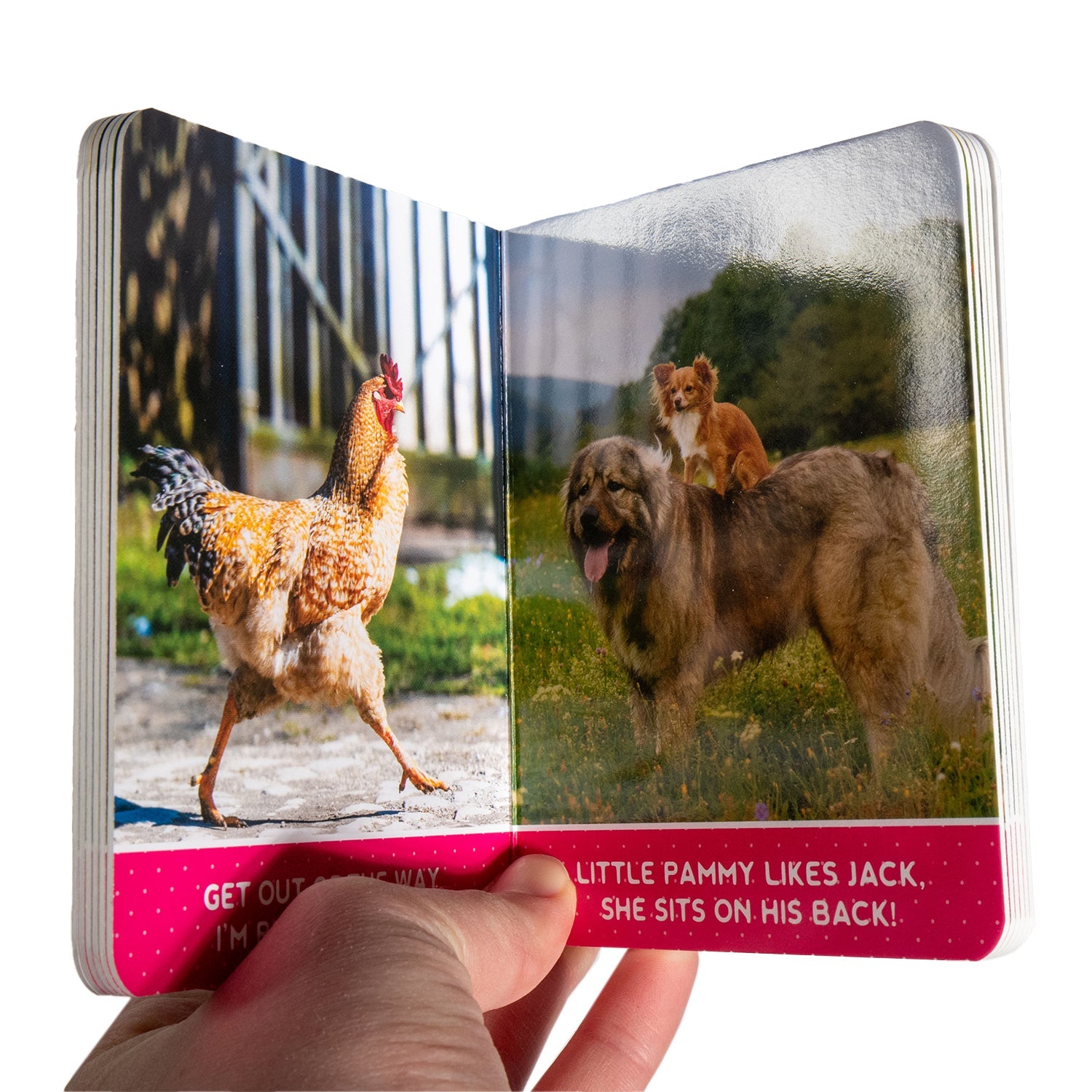 Friendly Pals - Hardcover Board Book - Homeplace Market LLC