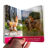 Friendly Pals - Hardcover Board Book - Homeplace Market LLC