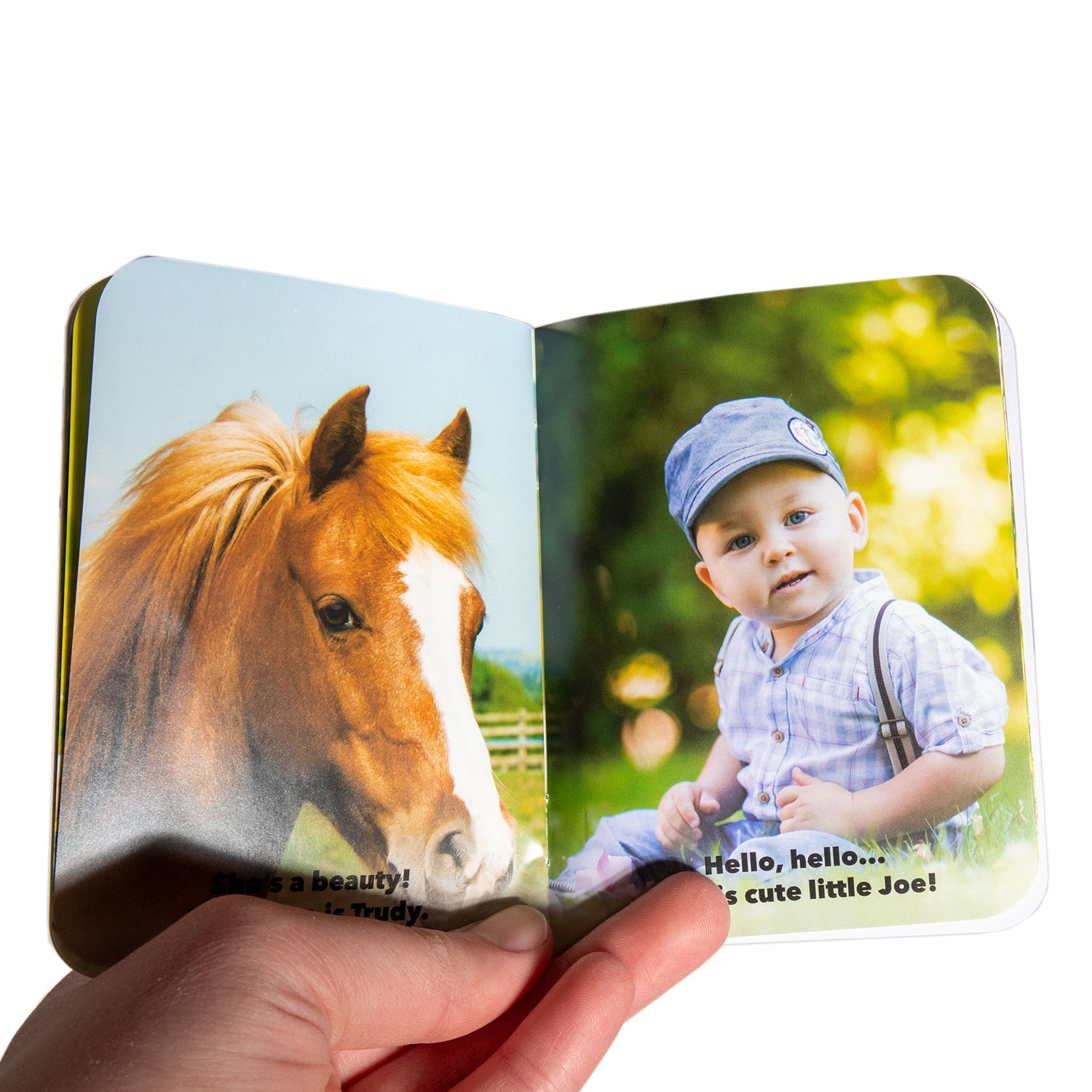 Fun Times for Toddlers Book - Pocket Edition - Homeplace Market LLC