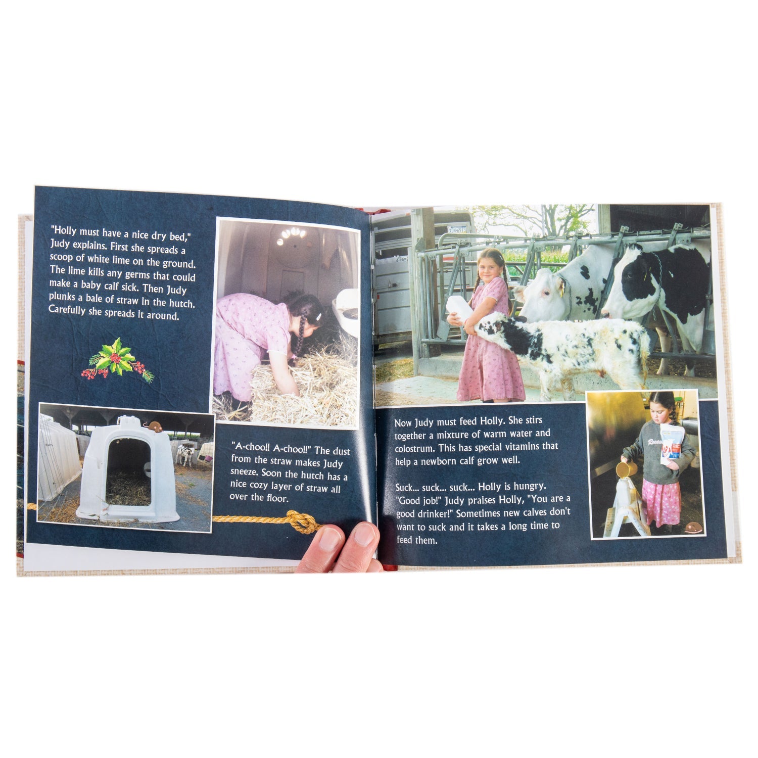 Holly - The Heifer Calf's Life on the Farm - Hardcover Book - Homeplace Market LLC