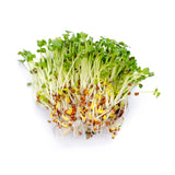Homeplace - Organic Alfalfa Seeds 8 oz - Homeplace Market LLC