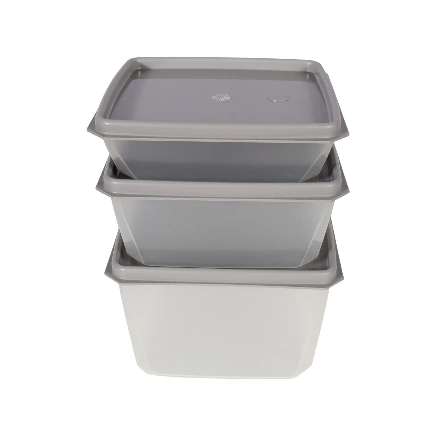 Homeplace - Ultra Container - Freezer Box - Made In USA - 5 Pack - Homeplace Market LLC