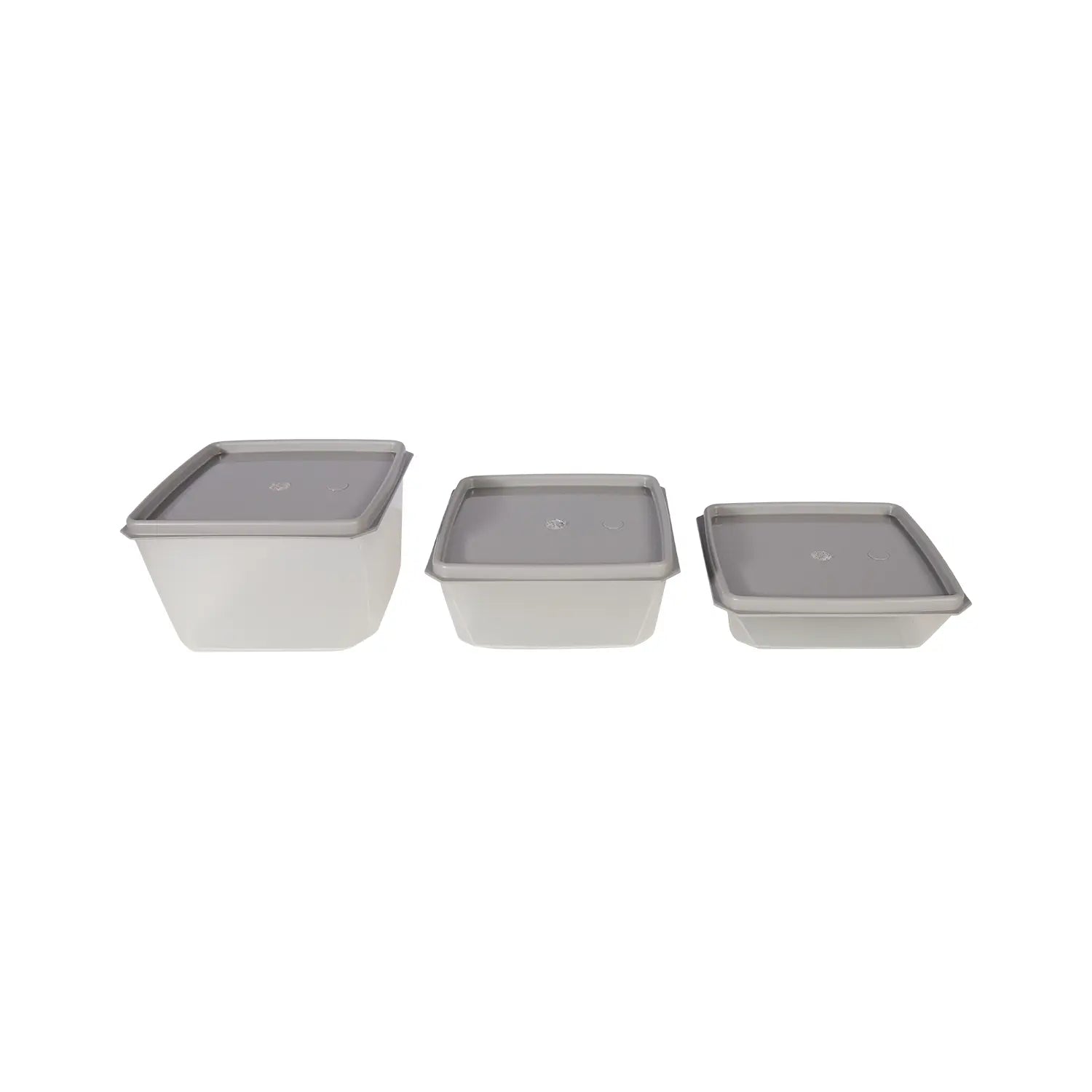 Homeplace - Ultra Container - Freezer Box - Made In USA - 5 Pack - Homeplace Market LLC