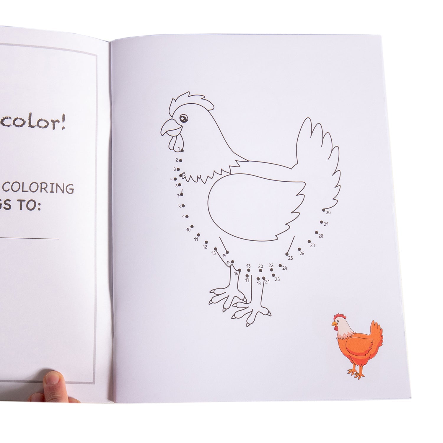 Little Hands Dot to Dot - Coloring Book - Homeplace Market LLC