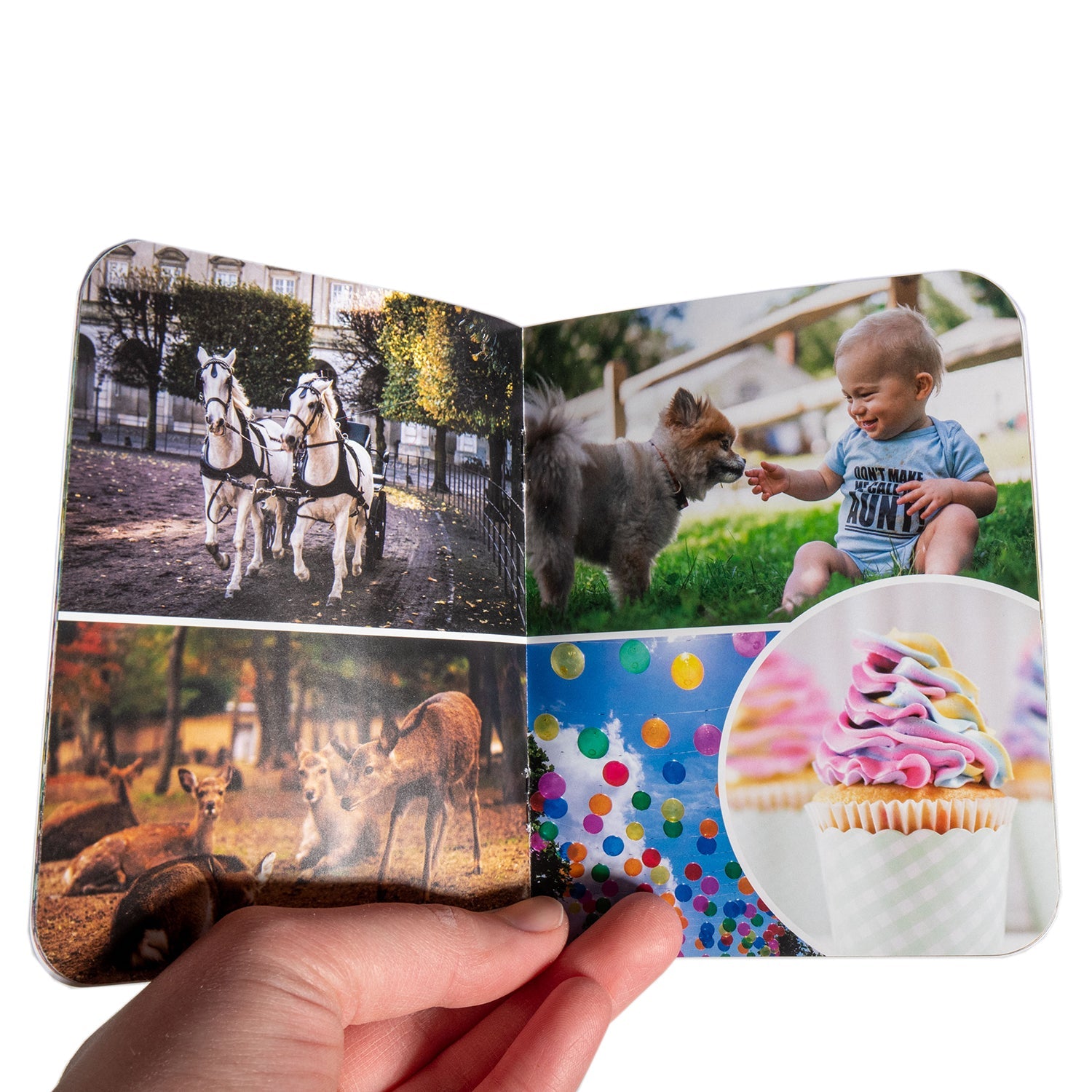 My Little Dream Book - Pictures for Toddlers - Homeplace Market LLC