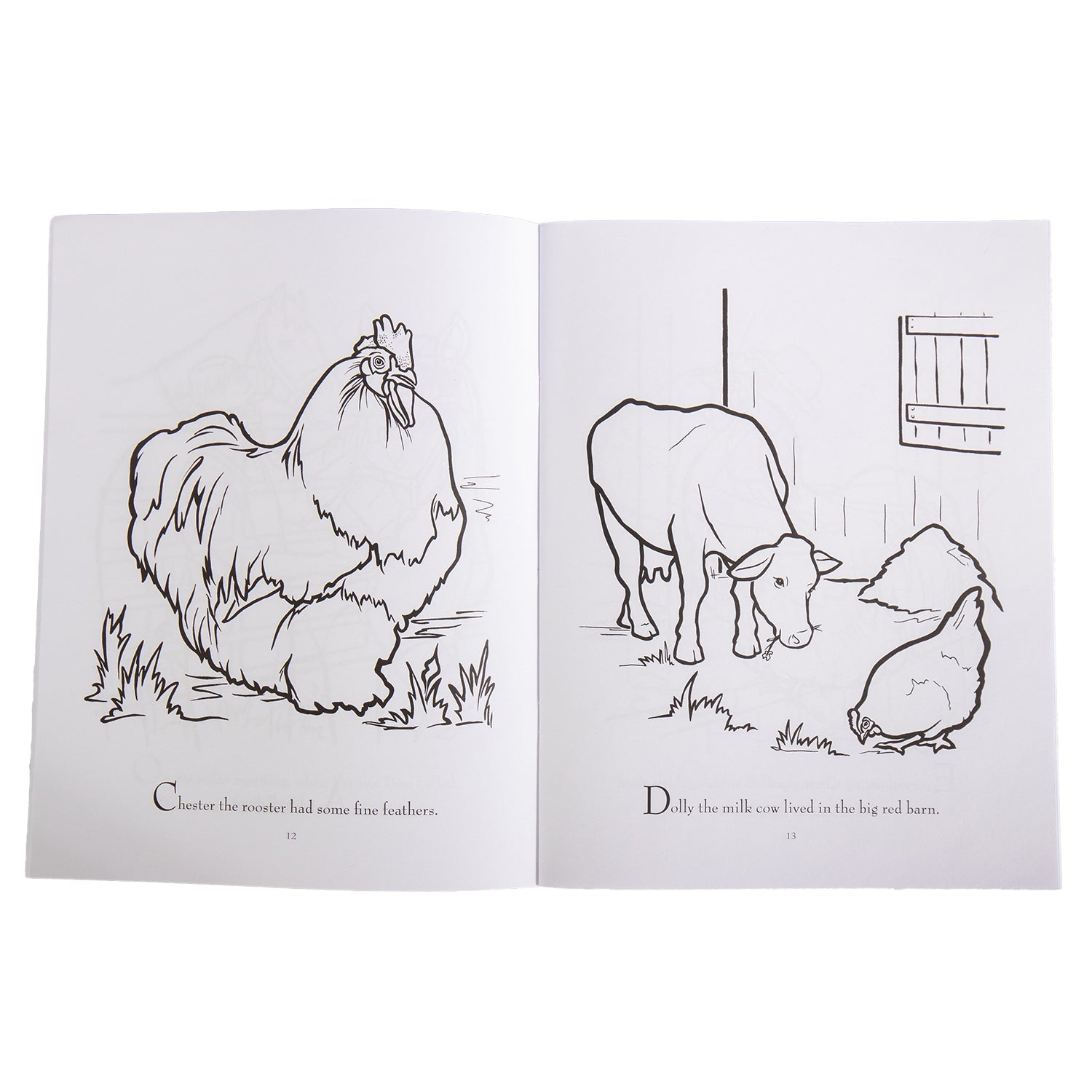 Pleasant Valley Farm - Coloring Book - Homeplace Market LLC