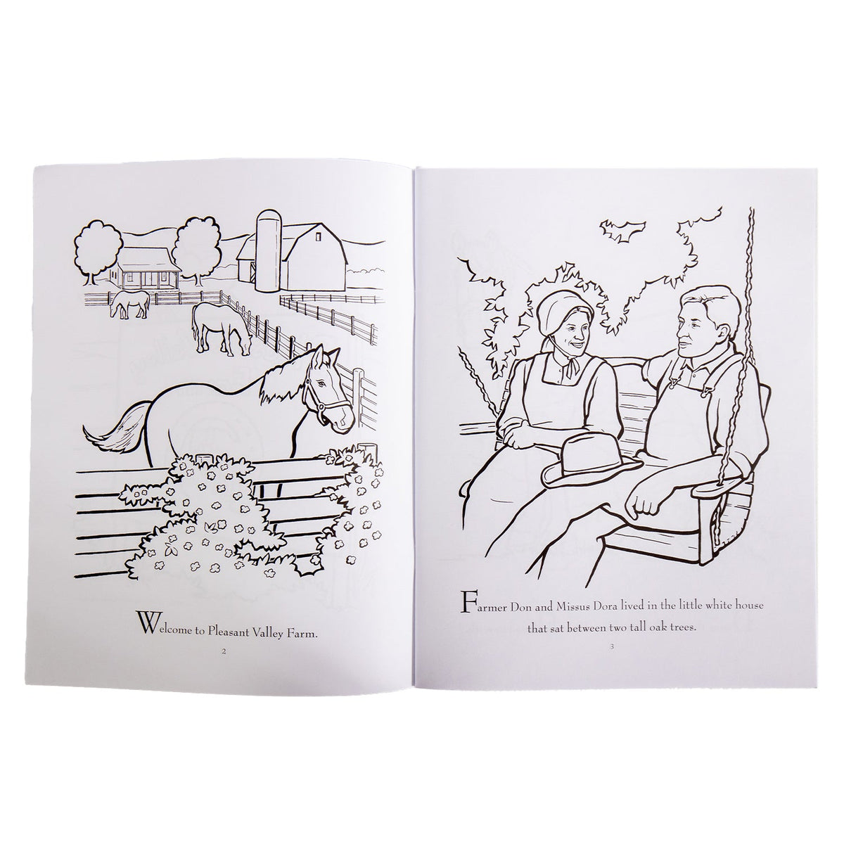 Pleasant Valley Farm - Coloring Book – Homeplace Market LLC