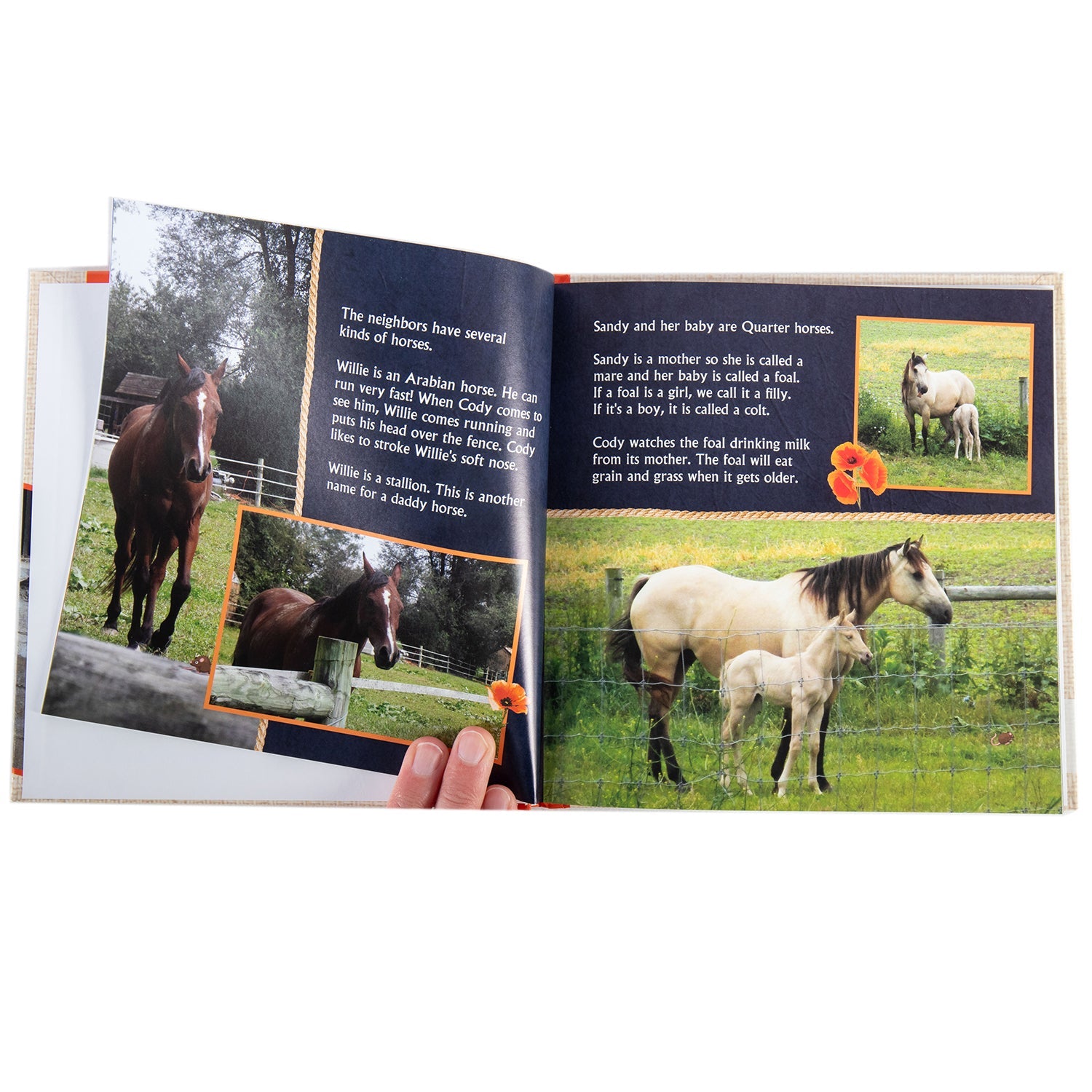 Poppy - The Paint Pony and Cody's Prayer - Hardcover Book - Homeplace Market LLC