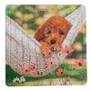 Reposing Pup Tray Puzzle - 36 piece - Homeplace Market LLC