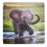 Splashing Elephant Tray Puzzle - 36 piece - Homeplace Market LLC