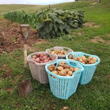 Homeplace - Heavy Duty Garden Basket, Laundry Basket, 1 Bushel Basket, Made In USA - Homeplace Market LLC