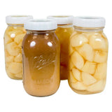 Homeplace | Mason Jar Ring | Plastic | Heavy - Duty - Homeplace Market LLC