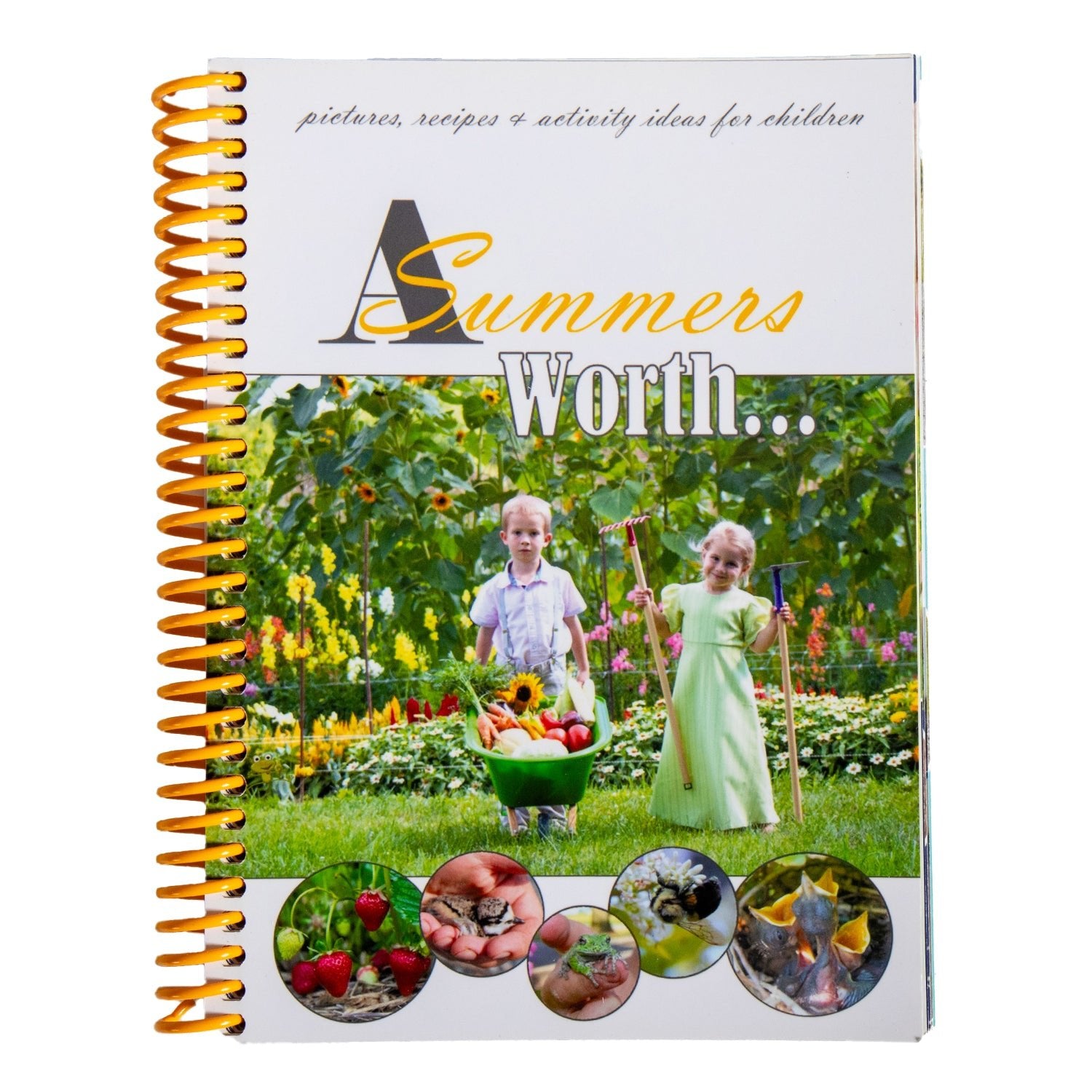 A Summers Worth Book - Pictures, Recipes, Activities for Children - Homeplace Market LLC