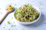 Homeplace - Organic Alfalfa Seeds 8 oz - Homeplace Market LLC