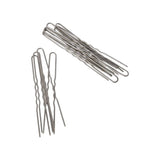 Joyce's Accessories - Stainless Steel Crinkle Hair Pins (12 piece) (3") - Homeplace Market LLC