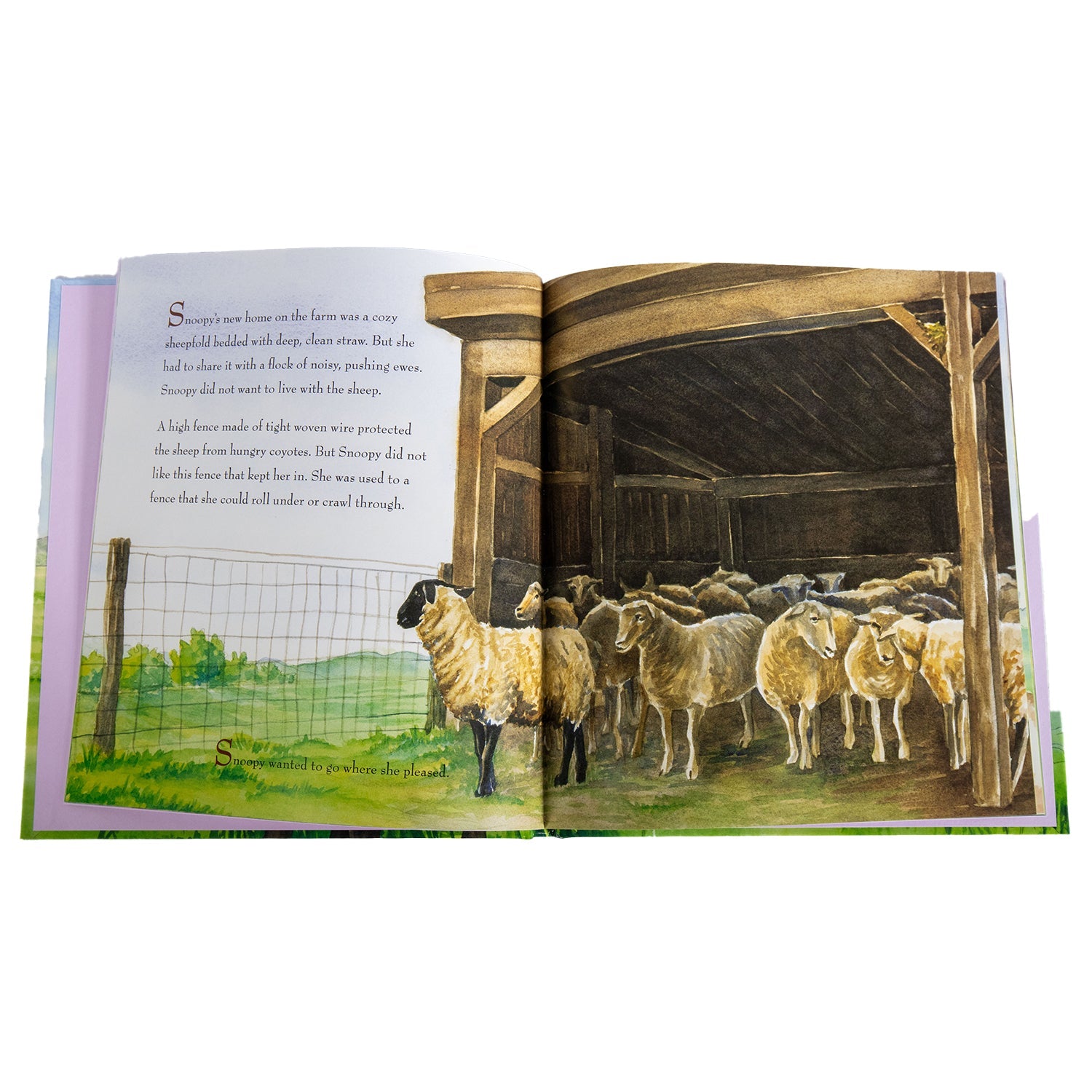 Snoopy the Sheep - Hardcover Book – Homeplace Market LLC